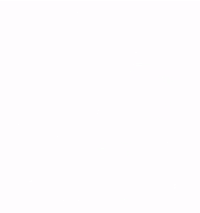 Premium Paye